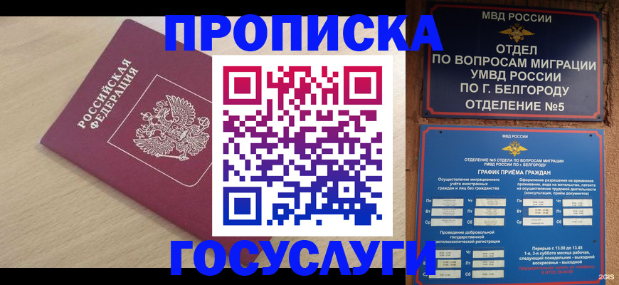 прописка законно в Шали